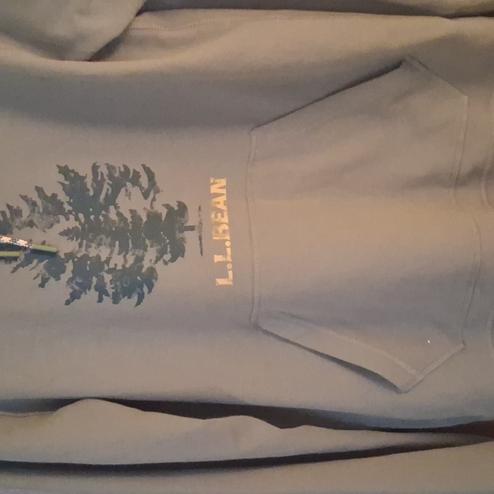 L.L. Bean Men's Small Olive Green Camp Hoodie